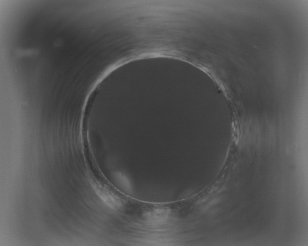 X0000082940196200702081632