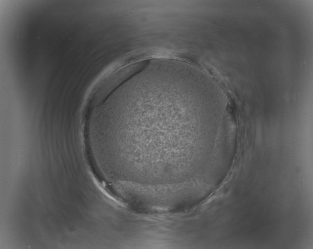 X0000082940197200702081632