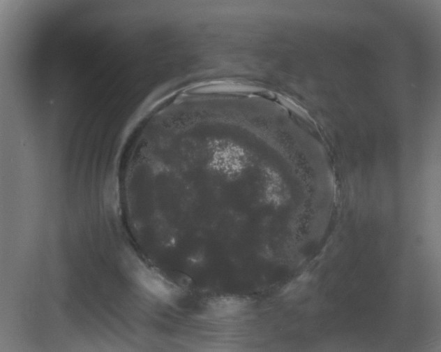 X0000082940198200702081632