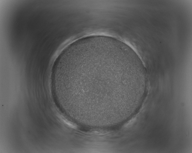 X0000082940199200702081632