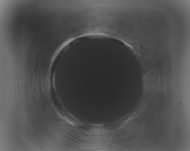 X0000082940200200702081632