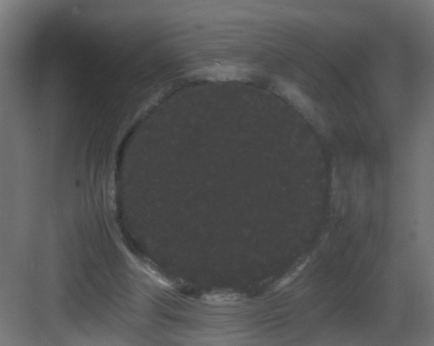 X0000082940202200702081632