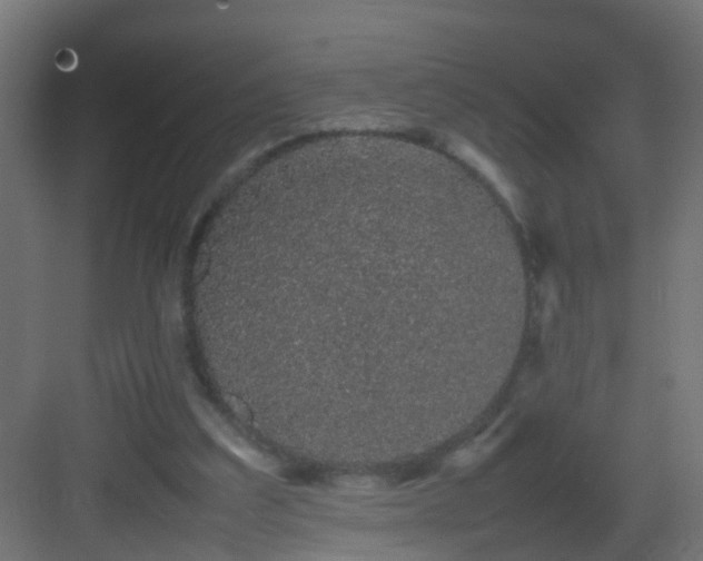 X0000082940203200702081632