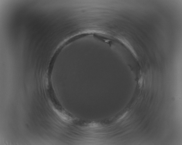 X0000082940204200702081632