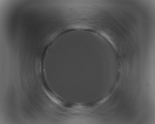 X0000082940205200702081632