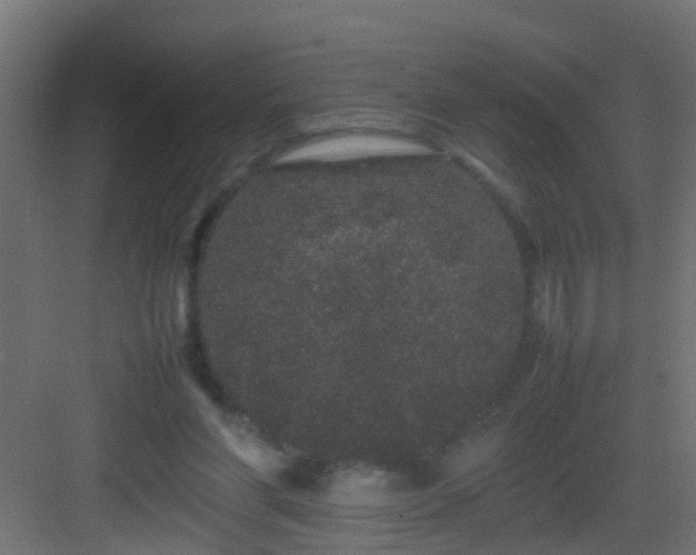 X0000082940206200702081632