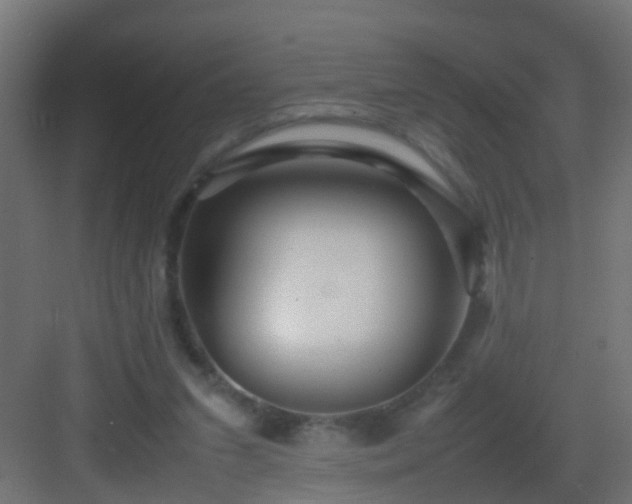 X0000082940207200702081632