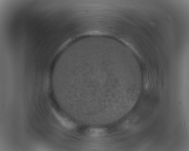 X0000082940208200702081632