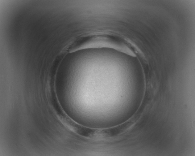 X0000082940209200702081632