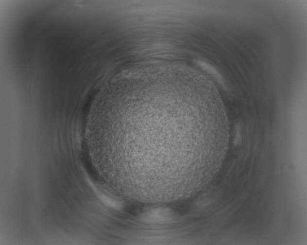 X0000082940210200702081632