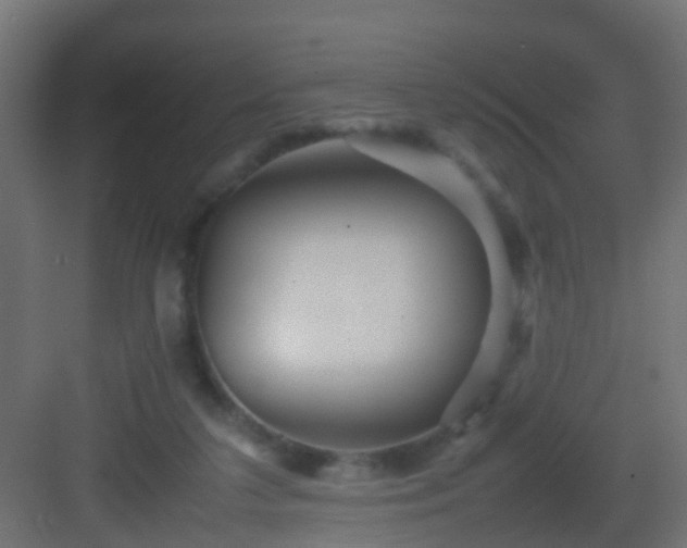 X0000082940211200702081632