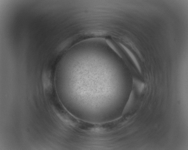 X0000082940212200702081632