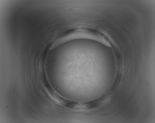 X0000082940213200702081632