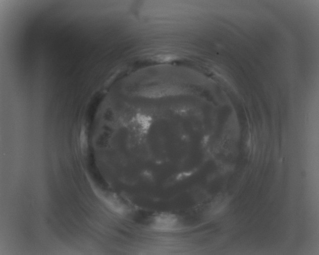 X0000082940214200702081632