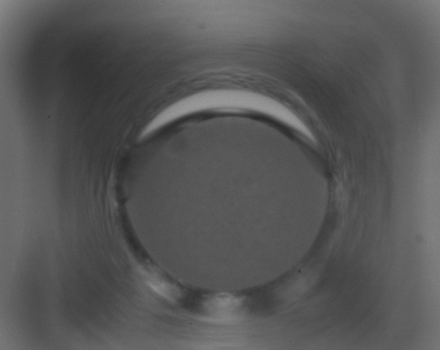 X0000082940217200702081632