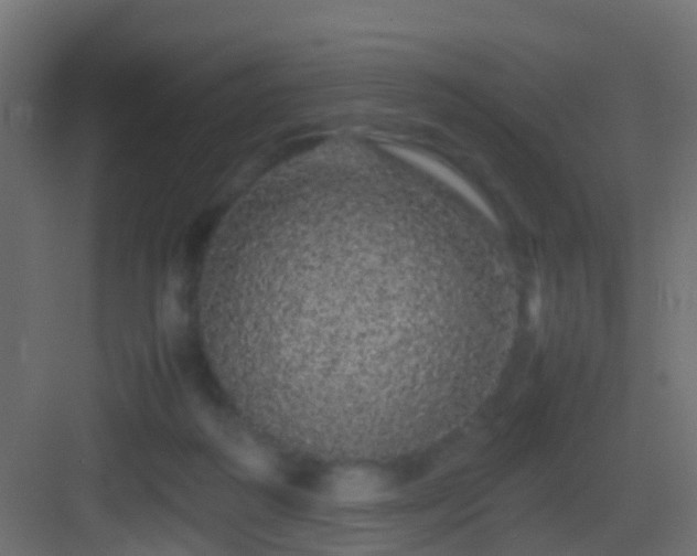 X0000082940218200702081632