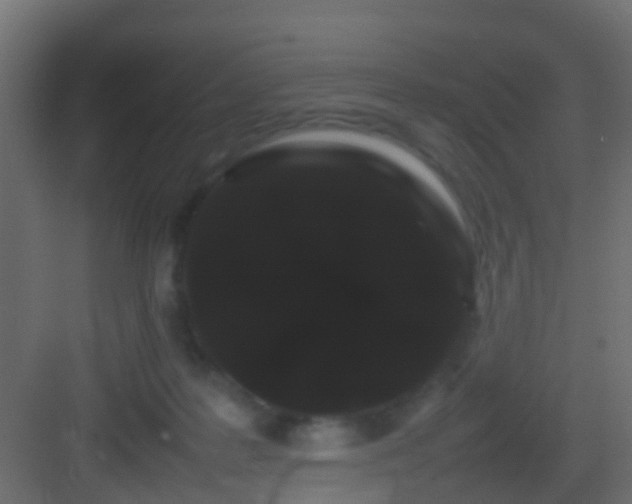 X0000082940219200702081632