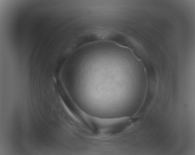 X0000082940221200702081632