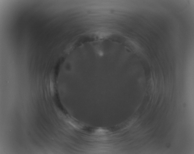 X0000082940222200702081632