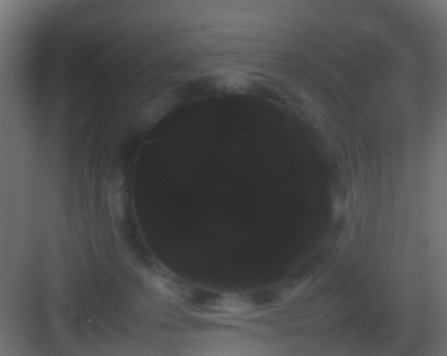 X0000082940223200702081632