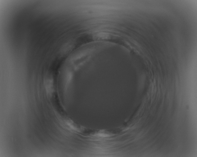 X0000082940224200702081632