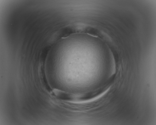 X0000082940225200702081632