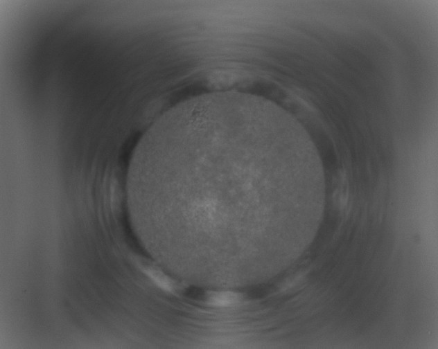 X0000082940226200702081632