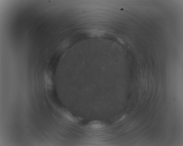 X0000082940228200702081632