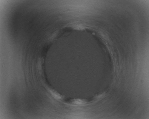 X0000082940229200702081632