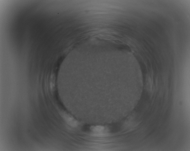 X0000082940230200702081632