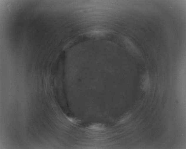 X0000082940232200702081632