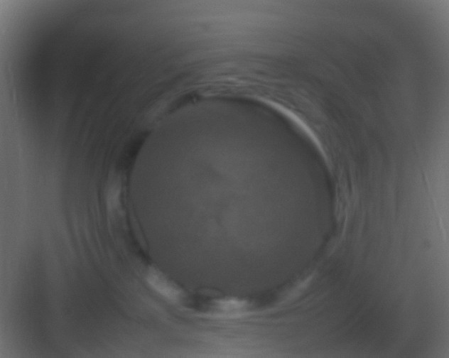 X0000082940233200702081632