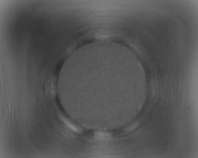 X0000082940234200702081632