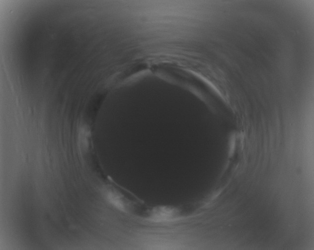 X0000082940235200702081632