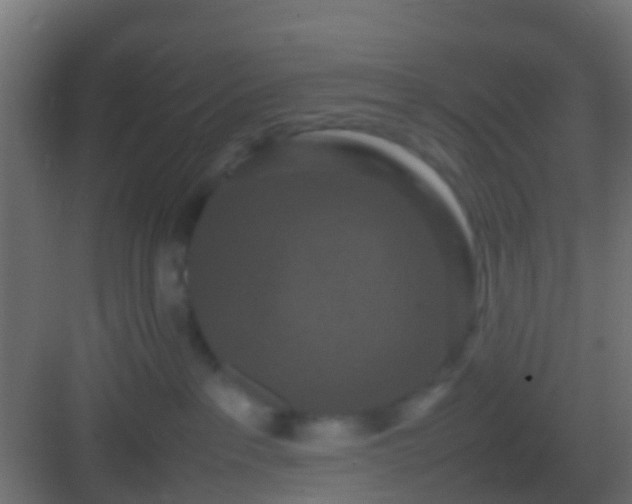 X0000082940237200702081632