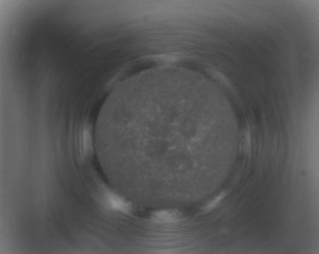 X0000082940238200702081632