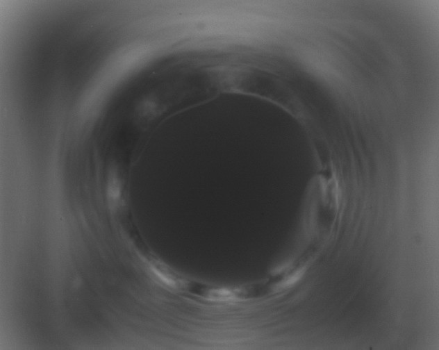 X0000082940239200702081632