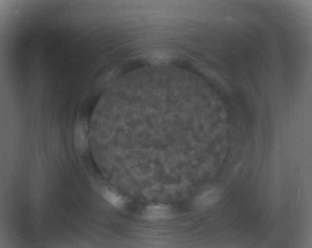 X0000082940240200702081632