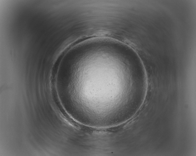 X0000082940242200702081631