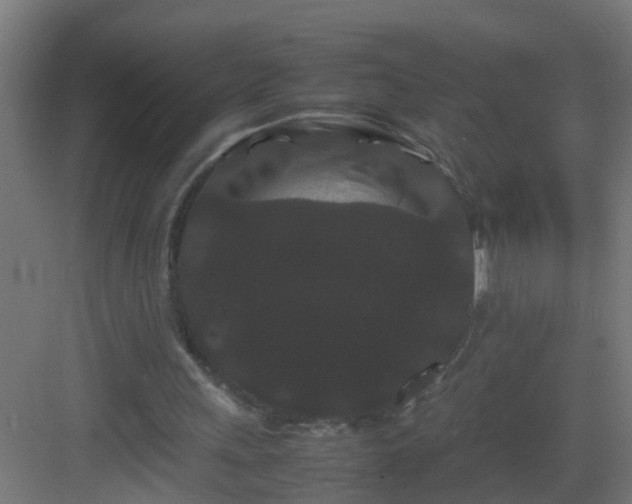 X0000082940243200702081631