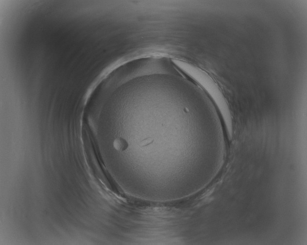 X0000082940244200702081631