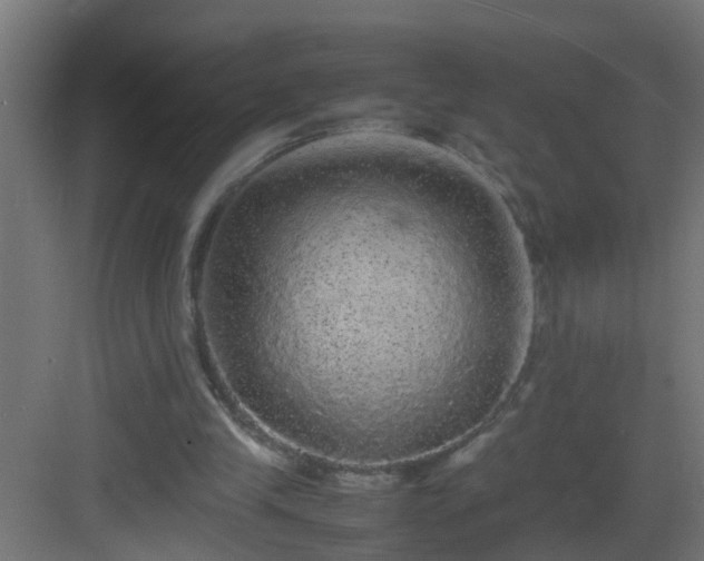 X0000082940245200702081631