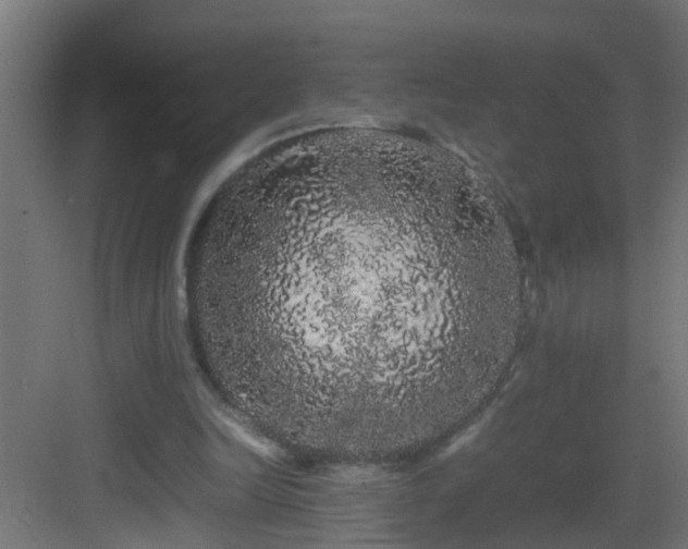 X0000082940246200702081631