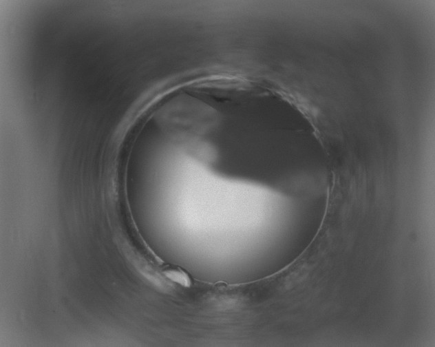 X0000082940247200702081631