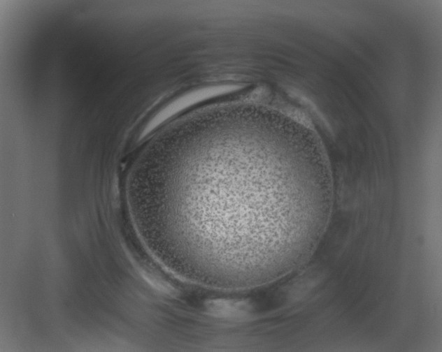 X0000082940251200702081631