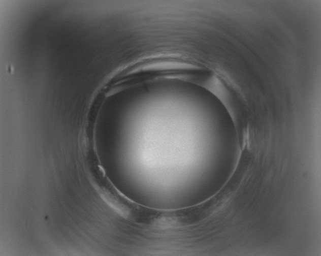 X0000082940252200702081631