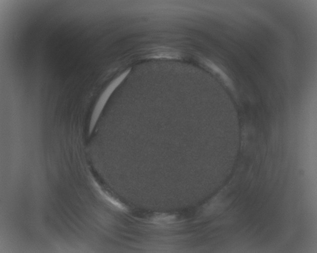 X0000082940257200702081631