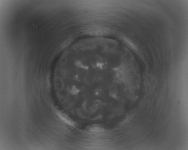 X0000082940258200702081631