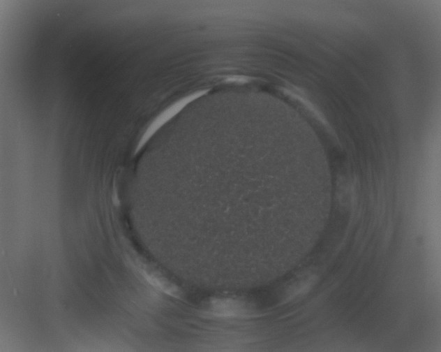 X0000082940259200702081631