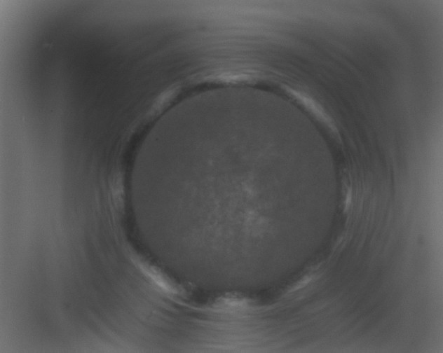 X0000082940260200702081631